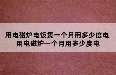 用电磁炉电饭煲一个月用多少度电 用电磁炉一个月用多少度电